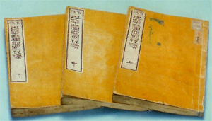 官版 巴華釐亜国税法 明治8年(1875)の写真
