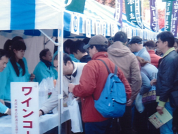 昨年の小瀬スポーツ公園会場の様子の写真