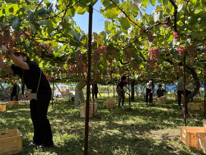 画像1|「経験の浅い社員に対するワイナリー研修会」を開催しました(東京都卸売酒販組合)