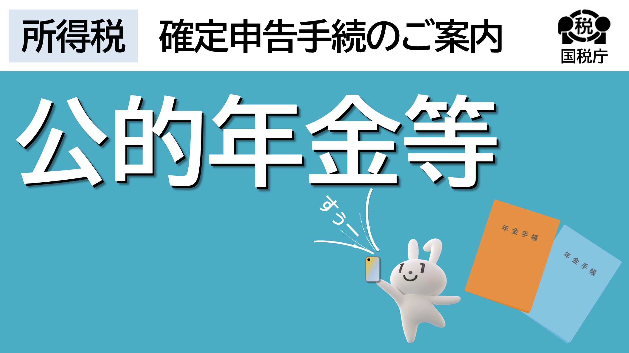 公的年金の入力方法