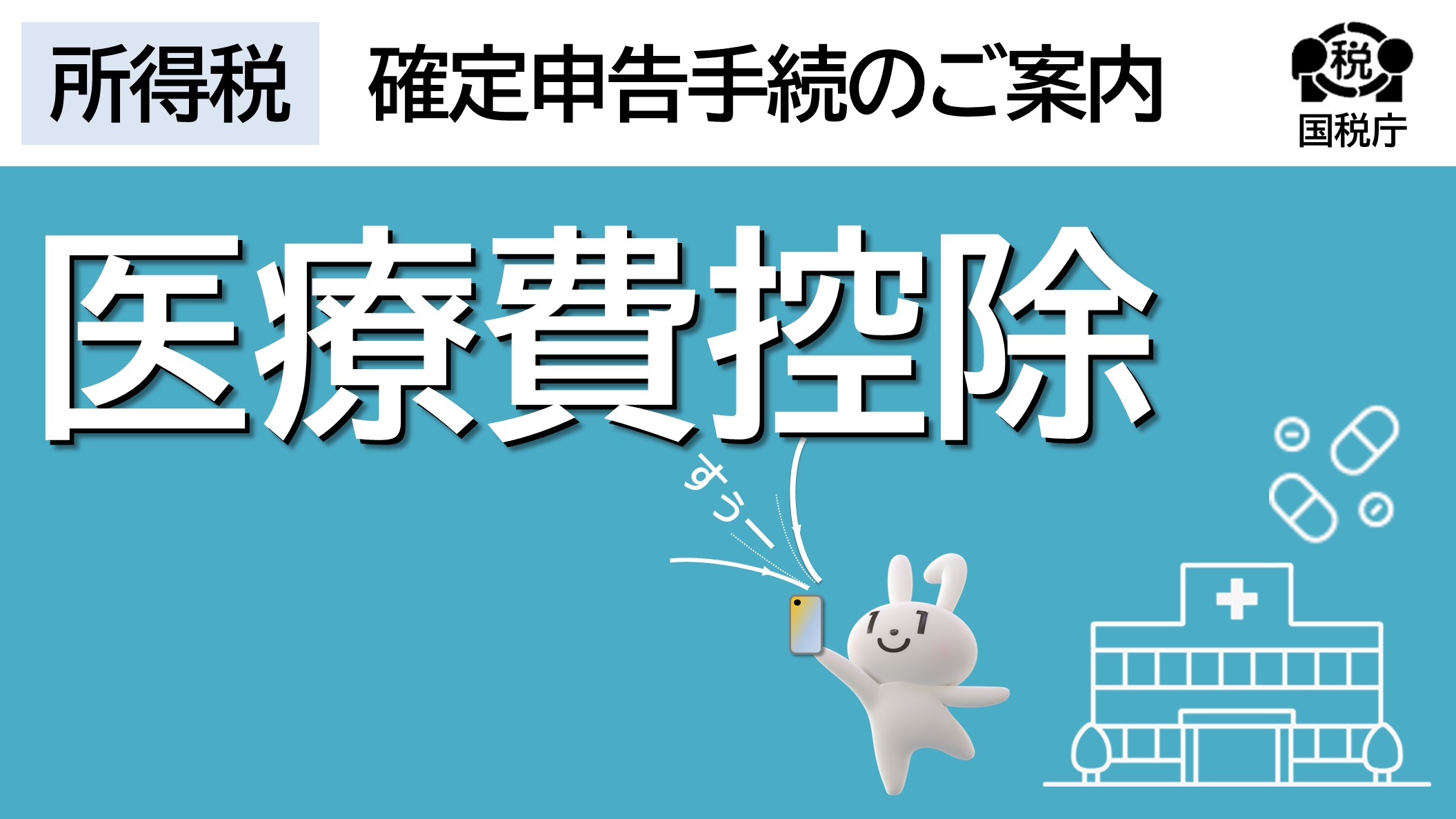 医療費控除の入力方法