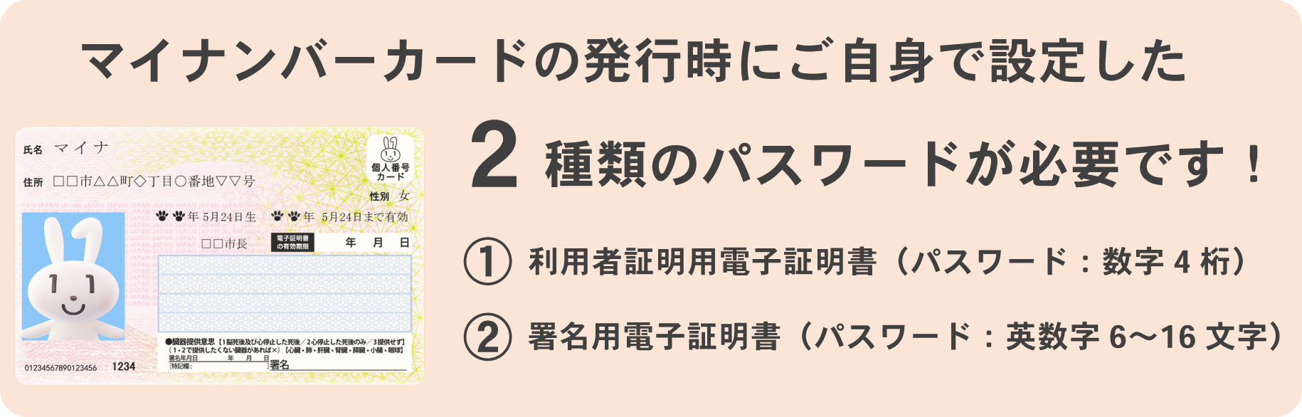 マイナンバーカードの発行時にご自身で設定した2種類のパスワードが必要です！
