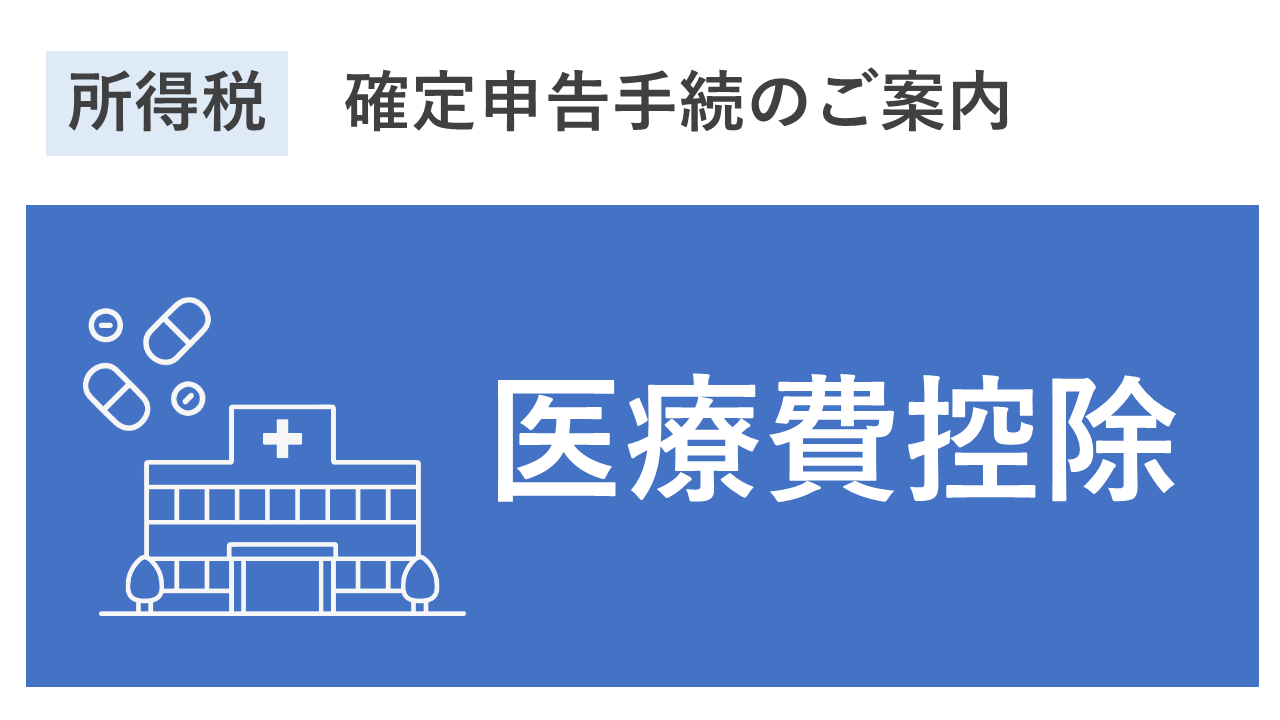 医療費控除の入力方法
